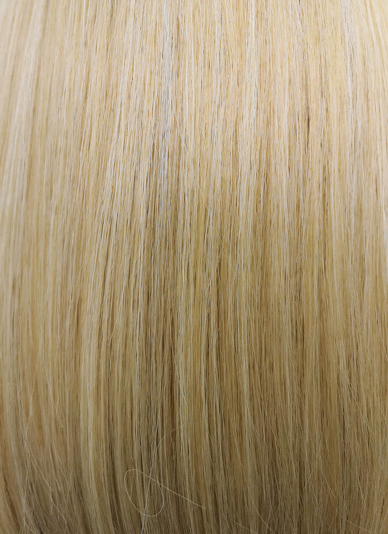 Mixed Blonde With Dark Roots Straight Bob Synthetic Wig NL064