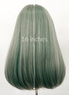 Green With Highlights Straight Synthetic Hair Wig NS493