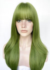 Green Straight Synthetic Hair Wig NS523