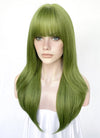 Green Straight Synthetic Hair Wig NS523