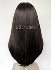 Brunette Straight Synthetic Hair Wig NS526