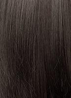 Brunette Straight Synthetic Hair Wig NS526