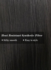 Straight Jet Black Synthetic Wig TBZ871